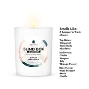 10oz Blind Box Jewelry Candle