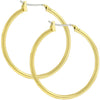 Golden Hoop Earrings